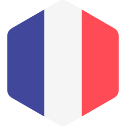 drapeau france icone